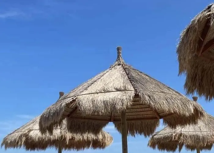 Dams 滨海弗兰卡维拉